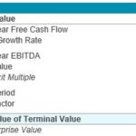 Terminal value